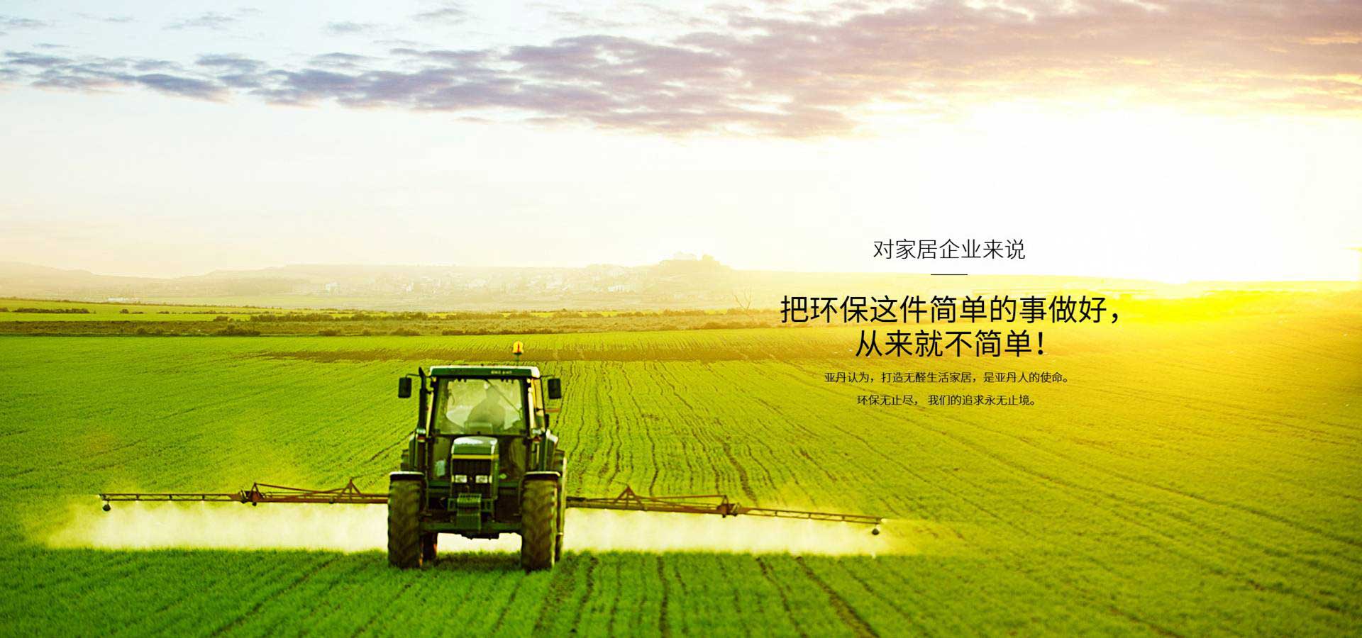 绿茵体育